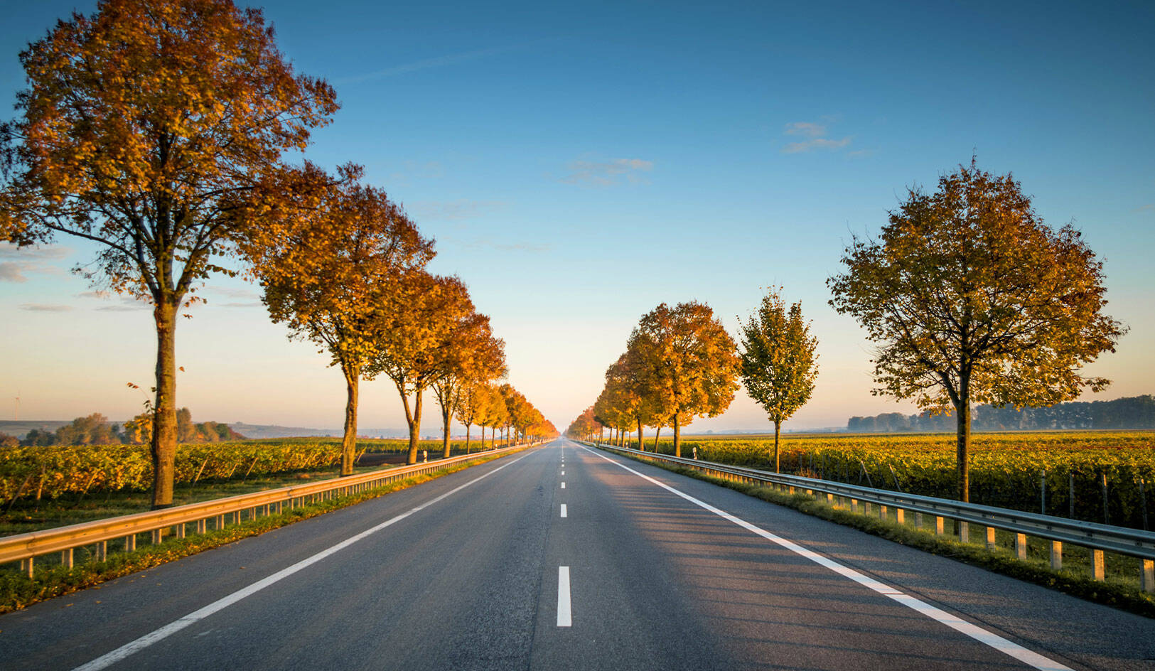 image-feuille-de-route-transition-energetique-union-tlf-transport.jpg