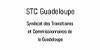 page-ecosysteme-stc-gouadeloupe-union-tlf-transport-logistique.jpg