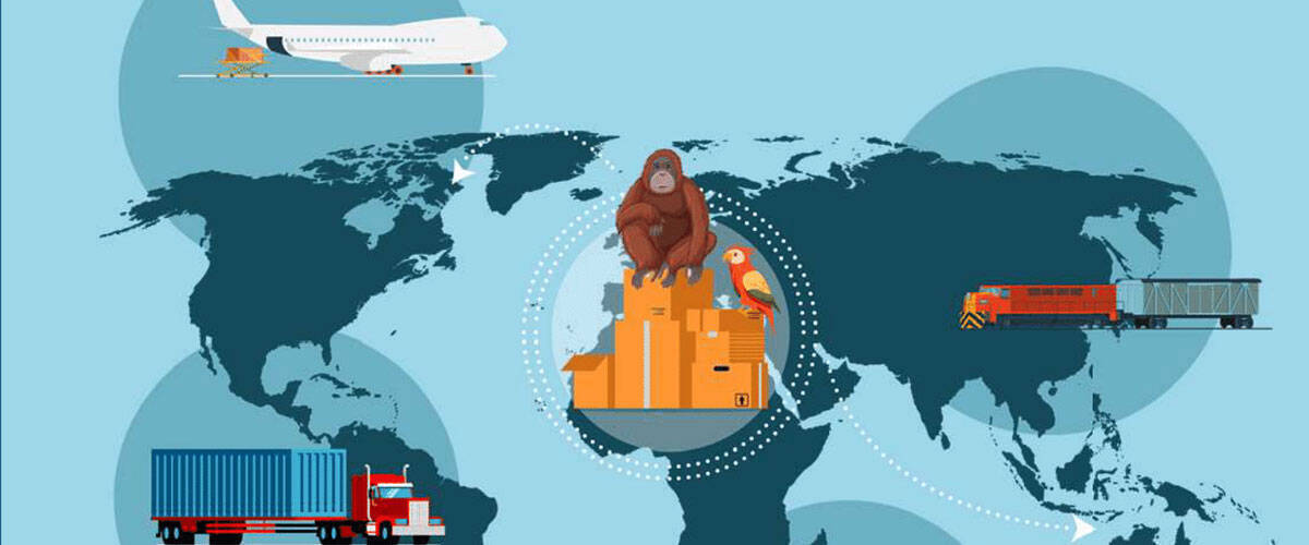 Découvrez la brochure : Lutte contre le trafic d'espèces protégées
