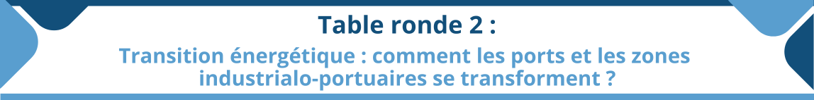 rencontre-professionnelle-tlf-mediterranee-14.png