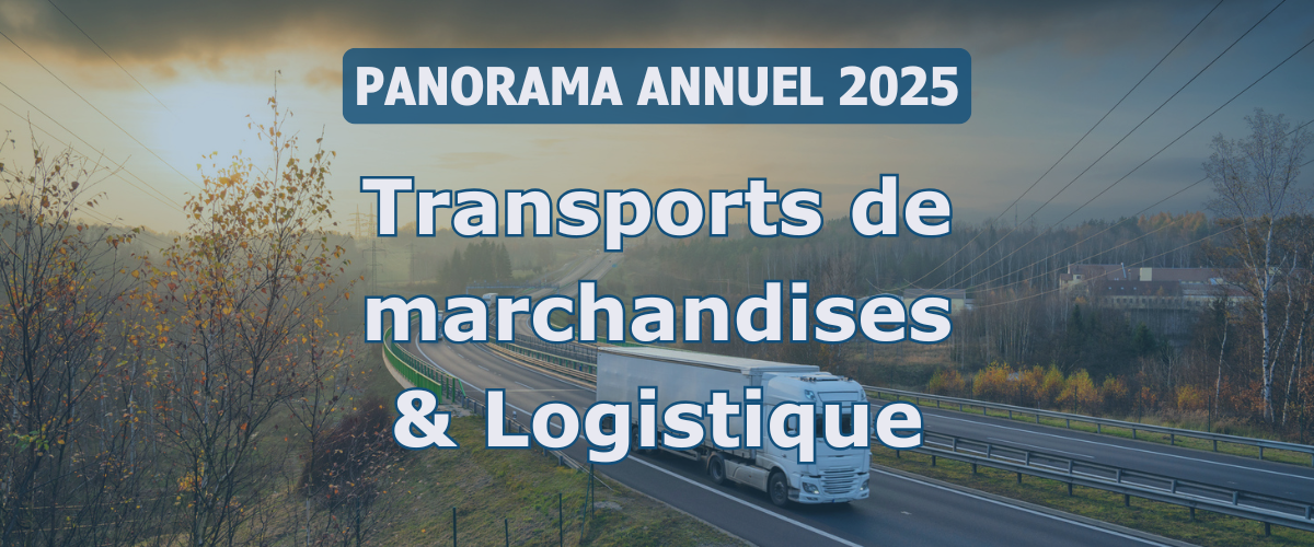 Panorama annuel des statistiques des transports de fret et de la logistique 2025